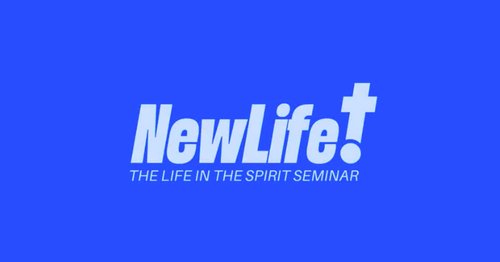 seminarNZ copy